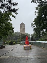 IMG_9227